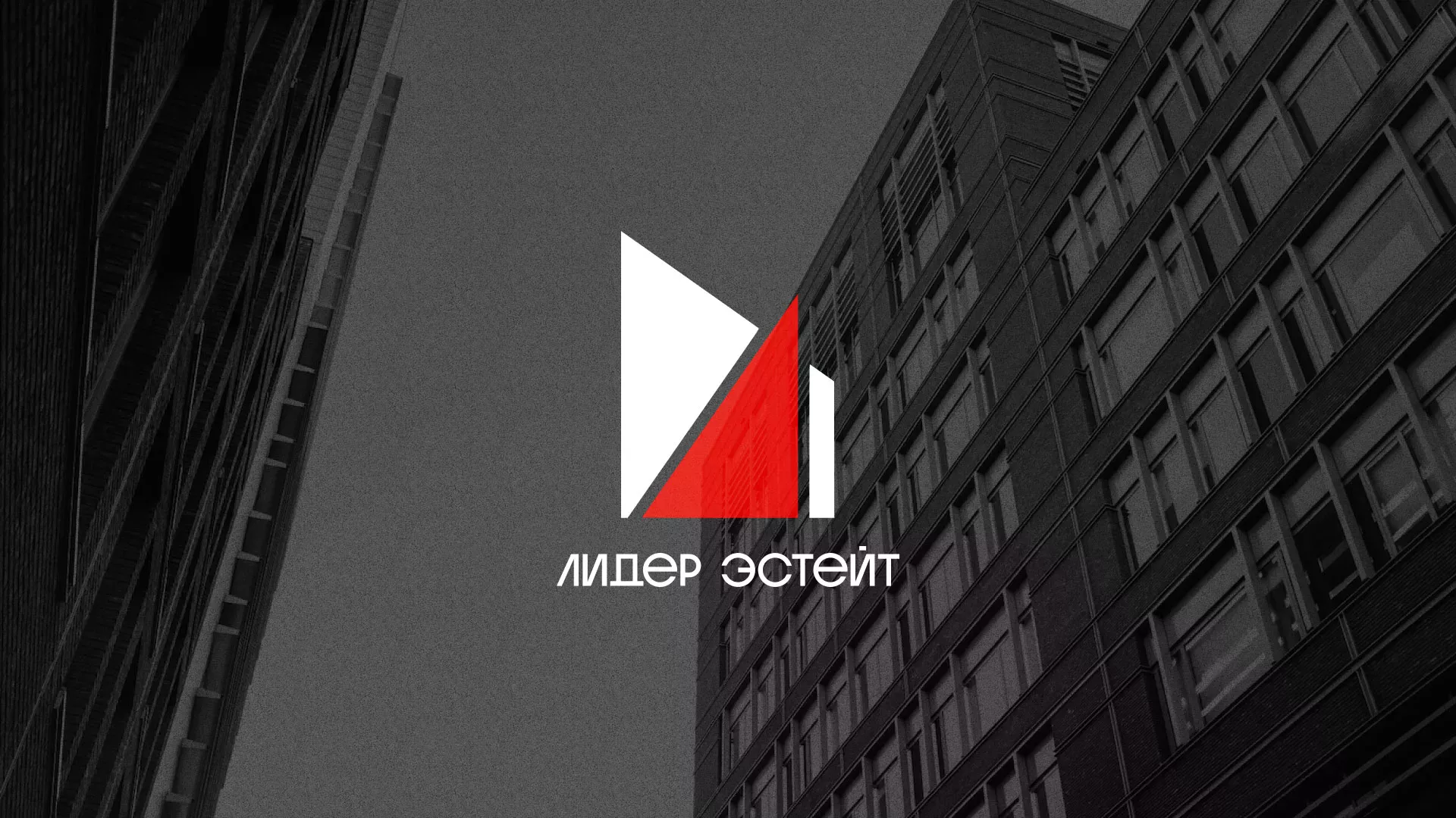 Сделали логотип для агентства недвижимости «Лидер Эстейт» в Сатке